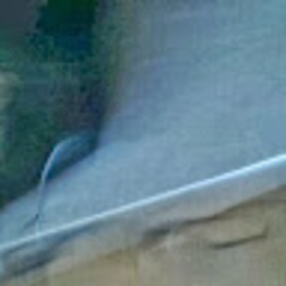 Meet your Posher, Toni - Picture 1 of 1